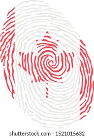 Fingerprint vector colored with the national flag of Canada 