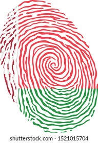 Fingerprint vector colored with the national flag of Belarus 