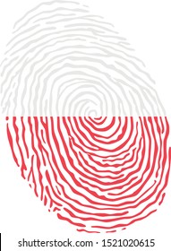 Fingerprint vector colored with the national flag of Poland 