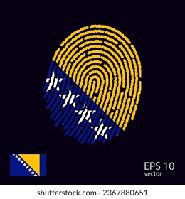 Fingerprint vector colored with the national flag of Bosnia and Herzegovina