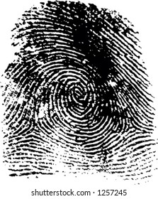 fingerprint, in vector format
