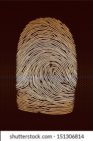 Fingerprint vector illustration, macro image.