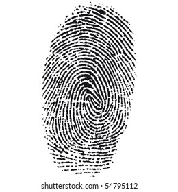 Fingerprint vector illustration, macro image.