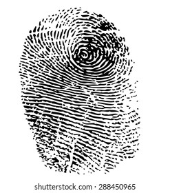 Fingerprint vector  isolated on white