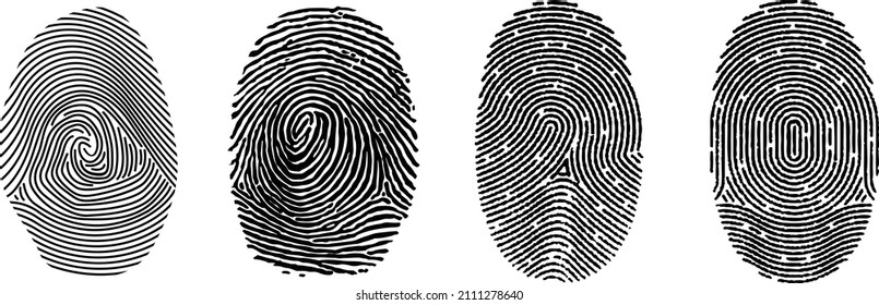 Fingerprint vector logo or icon