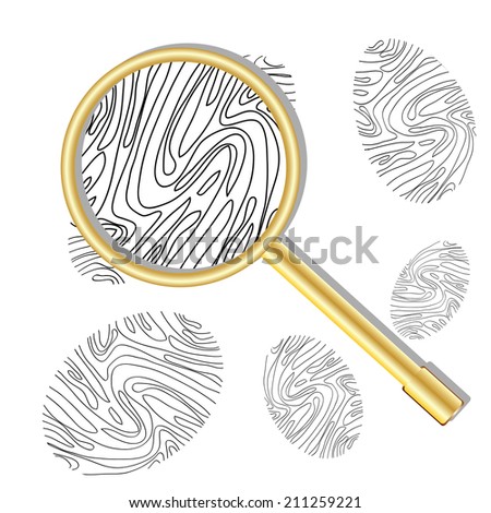 Fingerprint viewed under a magnifying glass on white background