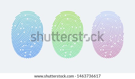 Fingerprints. Cyber security concept. Digital security authentication concept. Biometric authorization. Identification. Vector illustration of the fingerprint of different colors on a white background