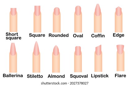 Fingers and nails.Different nail shapes.Ads for beauty salons.Sign, symbol, icon or logo isolated.Realistic mockup.Vector illustration.Set of  hand gestures.Female manicure.Fashion and cosmetic.
