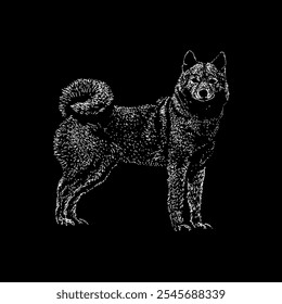 finnish spitz dog hand drawing vector isolated on black background.