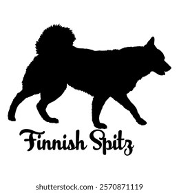 Finnish Spitz dog silhouette, dog breeds, logo, vector, silhouette,  animal, illustration, icon, sign, design, black, symbol, pet, love
