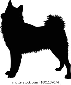 Finnish Spitz Found In Europe. Silhouette on White Background