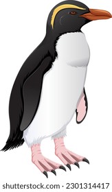 Fiordland Penguin on White Background illustration