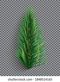 Fir Branch. Christmas Tree. Vector Illustration. Pine Sprig on Transparent Grid Background.