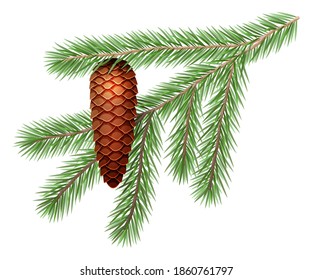 Fir branch with a cone. Christmas tree, spruce.  Symbol of Christmas and New Year isolated on white background.
