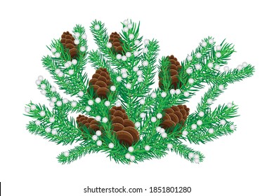 Fir branch with cone isolated on white background. Christmas tree twigs. Winter decor. Spruce color twig with pinecones and snow.New Year greeting card, banner design element.Stock vector illustration