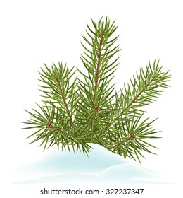 Fir Branch Decoration Stuck in Snow - Cold Wintertime - Spruce Branches with Snowy Ground on White Background - Winter Season Vector Illustration