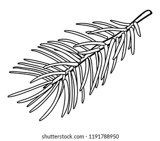 Fir branch - design element for christmas design in pencil drawing outline style