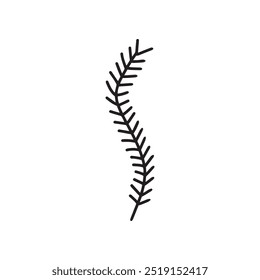 
Fir branch in doodle style, simple. Vector, isolated, on a white background