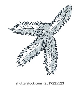 Fir branch element monochrome with small branch of Christmas tree that allows you to decorate house or apartment vector illustration