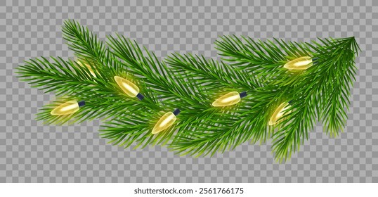 Fir branch with festive Christmas lights on transparent background. For holiday Christmas, New Year cards, banners, party posters and winter celebrations. Vector illustration