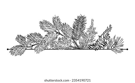 Fir branch of frame element. Black hand drawn element for winter card design isolated on white background