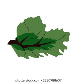 Fir branch in green doodle style