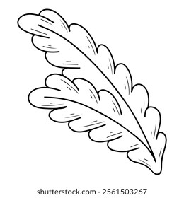 Fir branch hand drawn doodle. Merry Christmas symbol. Spruce, pine. Holiday plant. Event celebration. Winter nature. Thorny tree. Floral decoration. Vector line art botanical illustration.