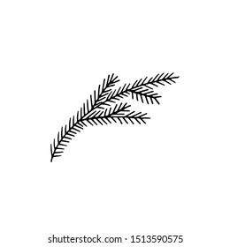 Fir branch. Hand drawn. Vector line illustration.