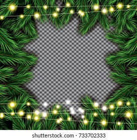 Fir Branch with Neon Lights on Transparent Background. Vector illustration.