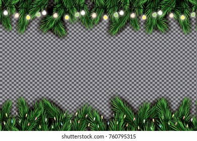 Fir Branch with Neon Lights on Transparent Background. Vector illustration.