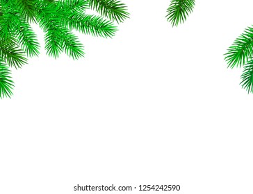 Fir  branch on white background. Green spruce. Realistic Christmas tree. Vector illustration for Xmas cards, banners, flyers, New year party posters.