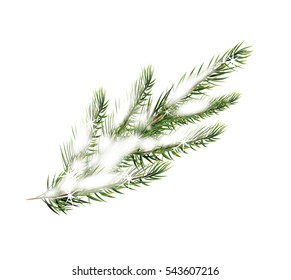 Fir branch with snow vector illustration on a white background