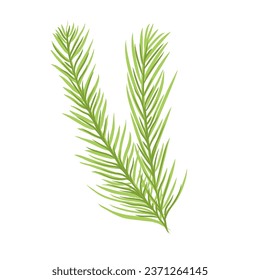 Fir branch spruce christmas png illustration vector