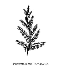 Fir Branch Vector Illustration. Floral Hand Drawn Pine. Christmas Linear Element In Modern Style. Elegant Spruce Twig Silhouette Isolated On White Background. Cedar Branch Line Art Design