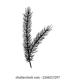 Fir Branch Vector Illustration. Floral Hand Drawn Pine. Christmas Linear Element In Modern Style. Elegant Spruce Twig Silhouette Isolated On White Background. Cedar Branch Line Art Design