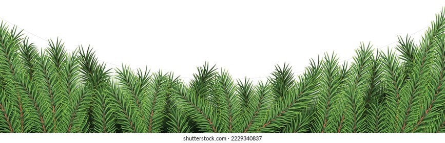 Fir branches border, Christmas, New Year, winter decor with realistic evergreen spruce frame element for festive design isolated on white background. Vector illustration