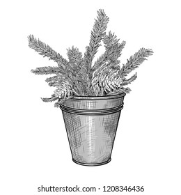 
Fir branches with cones in a galvanized bucket. Christmas composition. Vector vintage illustration. Sketching an isolated object on a white background.