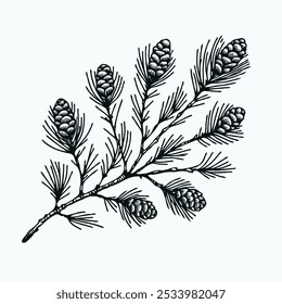 fir branches, coniferous tree, linear pine cones, pine, 
background with Christmas pattern, festive background, 
patterned Christmas background, pine needles
