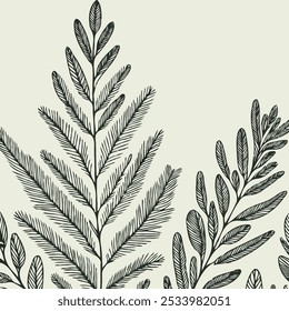 fir branches, coniferous tree, linear pine cones, pine, 
background with Christmas pattern, festive background, 
patterned Christmas background, pine needles
