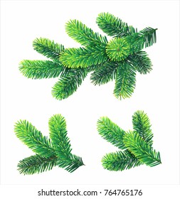 Fir branches isolated on white. Christmas decoration. Vector set.