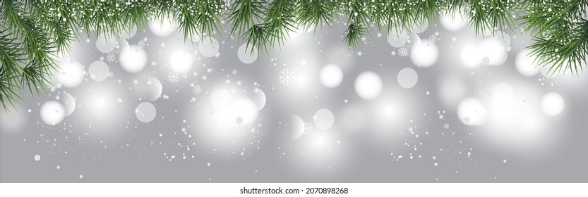 Fir branches on transparent background. Decorative christmas pattern or frame. Seamless vector illustration.