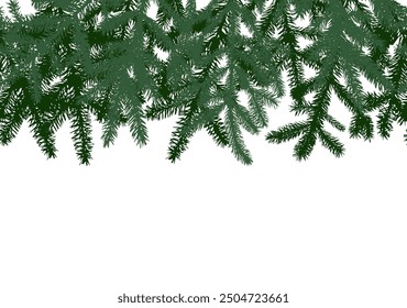 Fir branches seamless border vector