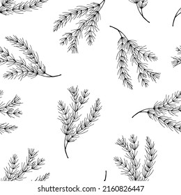 Las ramas de las aves se caracterizan por un patrón transparente. Ilustración vectorial de material eps10.