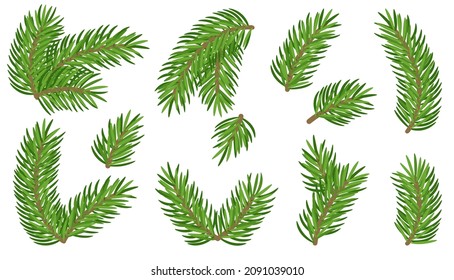 Fir branches set isolated on white background. Pine tree, conifer, realistic spruce small and large, combined and separate, xmas evergreen plants element. Christmas symbol design. Winter decor. Vector