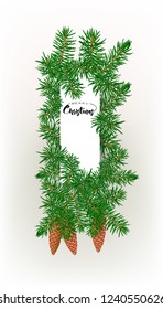 Fir branches. Template for greeting card for merry christmas and New Year,  invitation or sale banner, gift voucher. Isolated on white background. Colored vector illustration.
