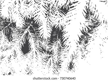 Fir branches texture. Christmas overlay. Nature illustration.Black and white vector background for retro design.