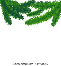 fir branches, vector christmas background with space for text