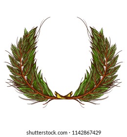 Fir branches. Vector illustration isolated on white background.