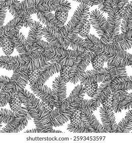 Fir brunces and cones seamles pattern hand drawn botanical sketch vintage vector illustration.