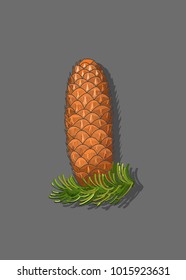 Fir cone on branch, isolated. Vector image.